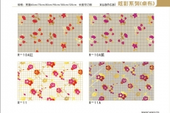 唐山炫彩-图册10