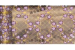 唐山R-29金紫